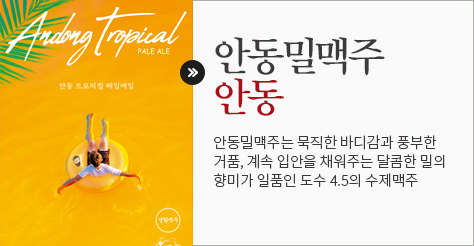 안동